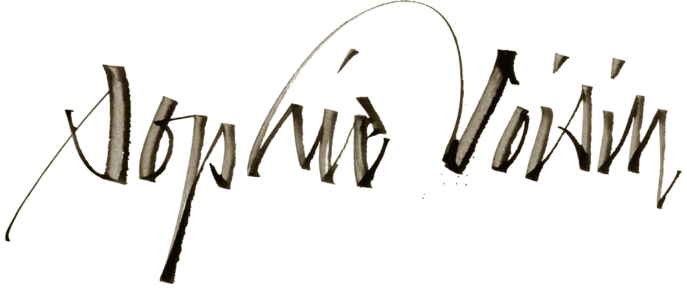 signature sophie voisin