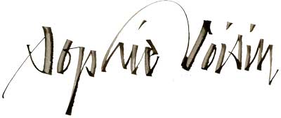 signature sophie voisin